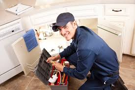 Best Pipe Inspections and Diagnostics  in Paddock Lake, WI